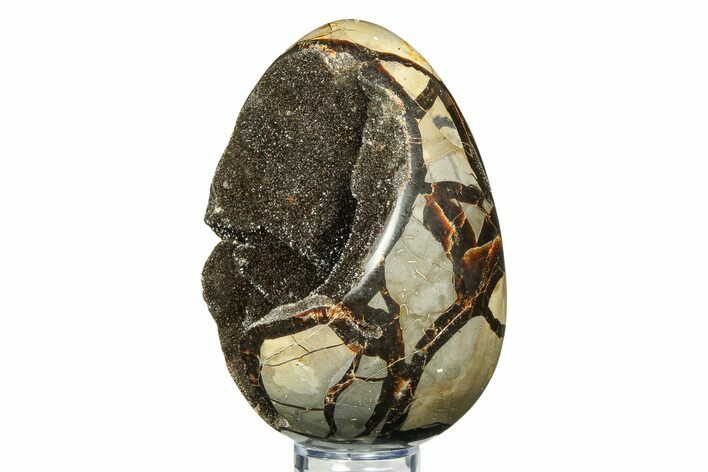 Septarian Dragon Egg Geode - Sparkly Black Crystals #308826